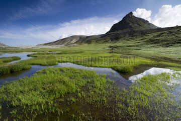 Lignin Lakes Peat bog Mercantour NP Alps France