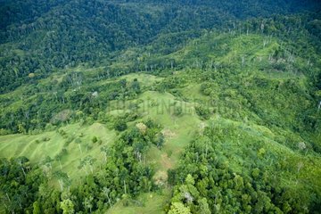 Aerial view of forest PN Corcovado in Costa Rica