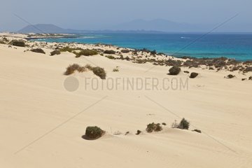 North Coast Corralejo Natural Park Fuerteventura Canary