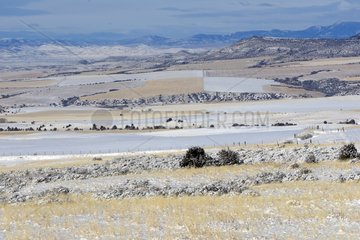 Tobacco Root Mountains in the background Montana USA