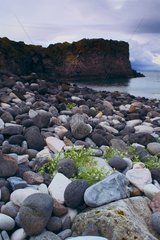 Beach boulders of Hellnar Iceland