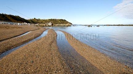 Erromardie beach at low tide Aquitaine France