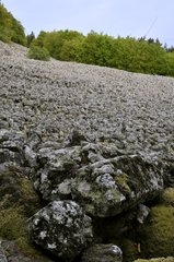 Scree Basalt Lava Bourianne of Auvergne France