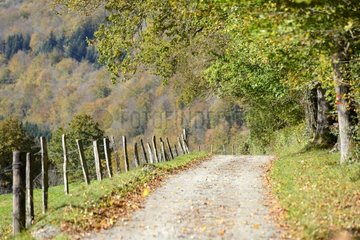 Town road in autumn - Franche-Comté France