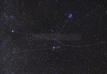 Taurus Constellation and the Pleiades