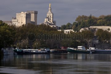 The Rhone river and the Palais des Papes Avignon France
