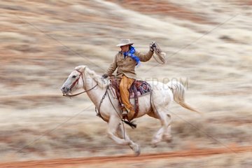 Cowboy on his Quarter Horse galloping Wyoming USA