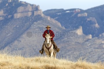 Cowboy on her Quarter Horse in the Wyoming USA