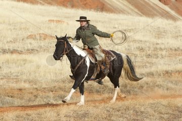 Cowboy on his quarter horse with his lasso Wyoming USA
