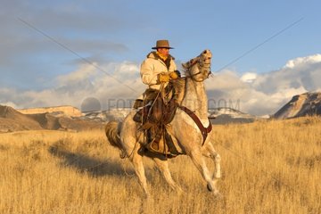 Cowboy on his quarter horse in the Wyoming USA