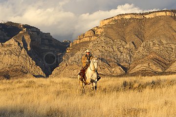 Cowboy on his quarter horse in the Wyoming USA