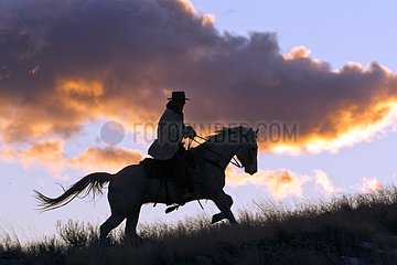 Cowboy on his quarter horse at sunset Wyoming USA