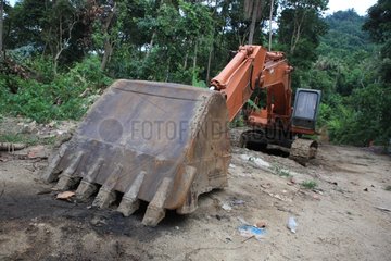 Backhoe Perhentian Kecil rainforest in Malaysia