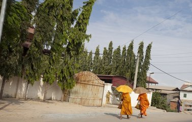 Monks walking down a street in the outskirts of Phnom Penh