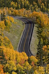 Winding road in the middle of a forest in autumn USA