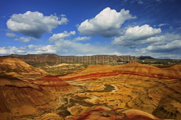 Landscape of Painted hills National monument USA