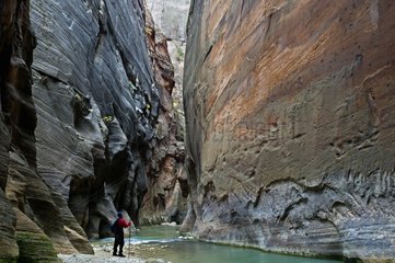 Hiker in the slot canyon Zion National Park USA