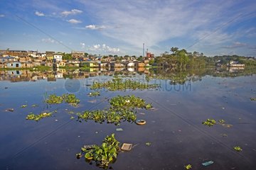 Slum on the edge of a marsh - Manaus Brazil