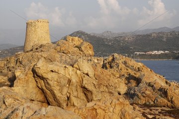 Genoese tower of Pietra Ile Rousse Corsica France