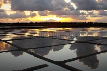 Salt marshes at dusk Pays de Loire France