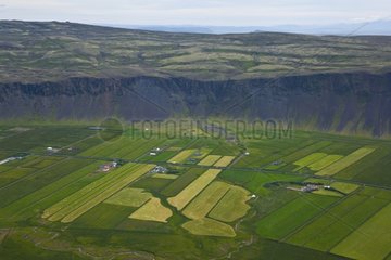 Agricultural landscape in Selfoss in the south-west Iceland