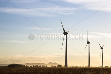 Windmills in the plain of La Crau and the Alpilles Massif