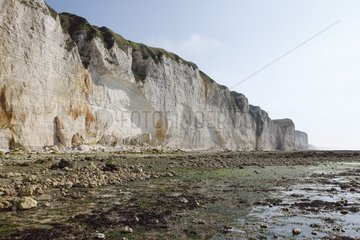Landslides cliff at Saint-Martin-aux-Buneaux in France