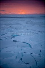 Ice at sunset Amundsen Gulf Canada