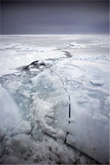 Crack in the Ice Amundsen Gulf Canada