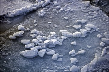 Ice cubes on Ice Amundsen Gulf Canada