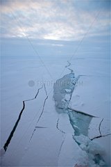 Cracks in the Ice Strait Prince of Wales Canada