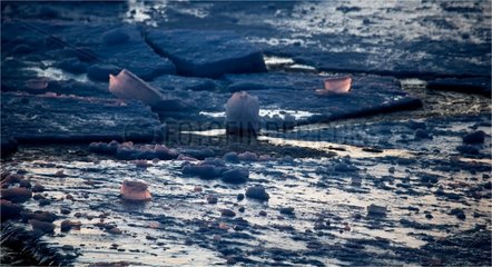 Reflecting on the ice Viscount Melville Sound Canada