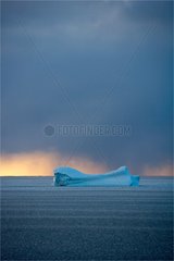 Iceberg drift Baffin Bay Canada