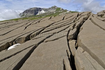 Red sandstone slabs Matolle The Desert Platé Alps France