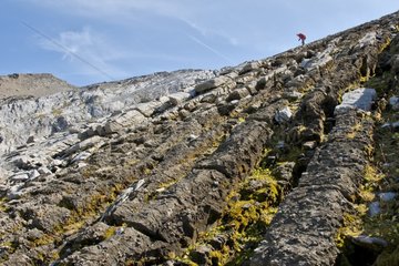 Deposit stromatolites Fiz Vallon de Sales Alps France