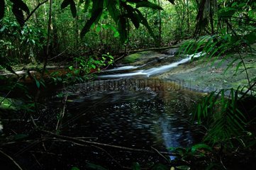 Creek waterfalls in the undergrowth - French Guiana