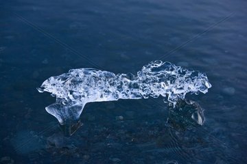 Ice floating on the ice lake in Iceland Joekulsárlón
