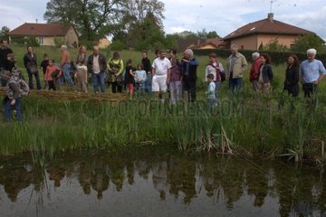 Discovery of animals of the pond France