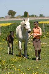 Woman and mare with her foal - France