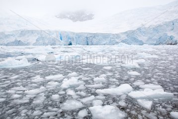 Glacier and ice floes Antarctic Peninsula