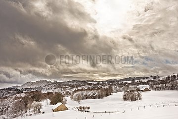 Massif du Grand Colombier in winter - Bugey - France