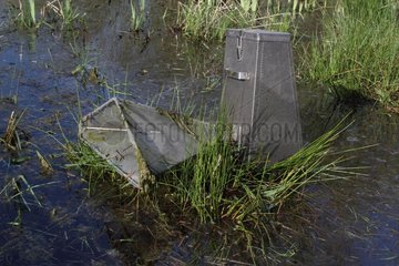 Trap for newts placed in water