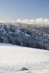 Petit Ballon summit in the snow Vosges Alsace France