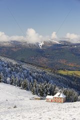 Petit Ballon summit in the snow and valley of Munster Vosges