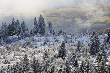 Mist on Vosges peaks in winter and valley of Munster