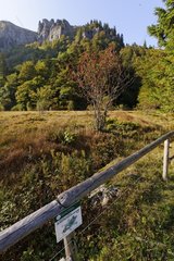 Barrier protection of peatland Frankenthal Vosges France