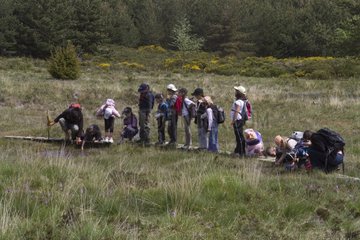 Children in Out Nature with Guide Bog Montselgues France