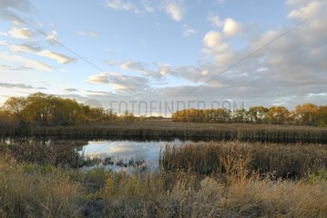 Lake Newell and Kinbrook marshes in autumn Alberta Canada