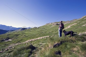 Shepherd and dog watching a herd of sheep Pyrenees France