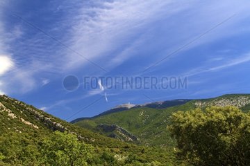North face of Mount Ventoux in France in July